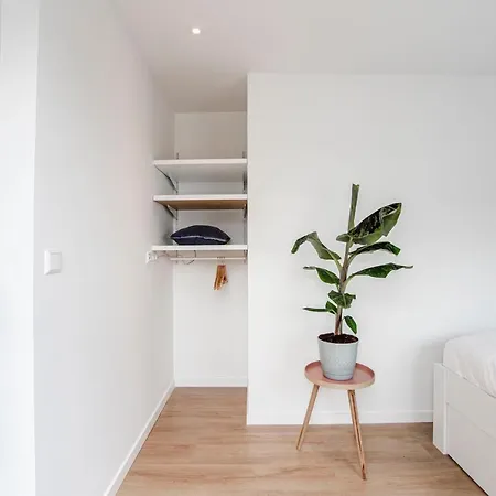 The Shell Apartment