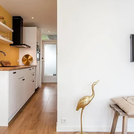 The Shell Apartment