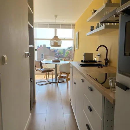The Shell Apartment *