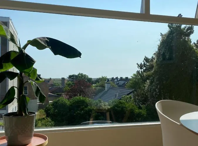 The Shell * Zandvoort