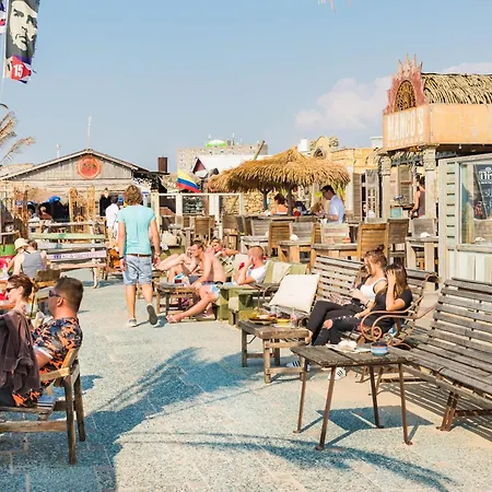 The Shell * Zandvoort